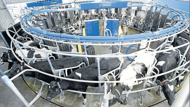 Robotic-milking-systemjpg