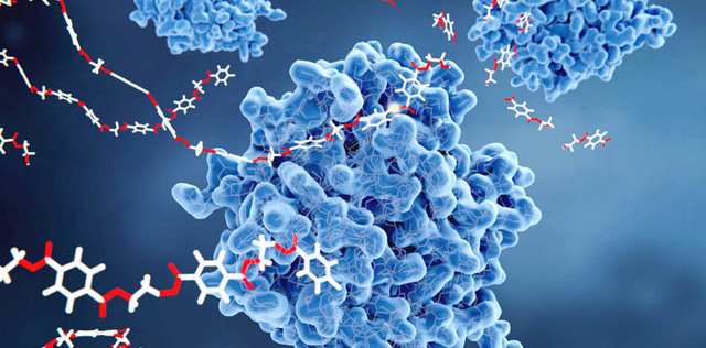 wVJjVs1U-enzyme-rasatantra-editorial4.jpg